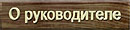 О руководителе
